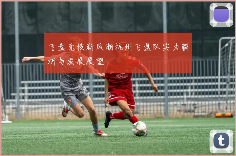 飞盘竞技新风潮杭州飞盘队实力解析与发展展望