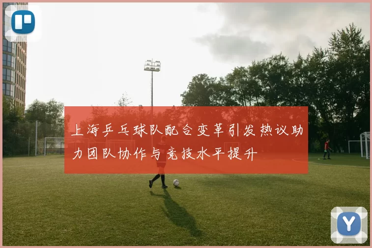 上海乒乓球队配合变革引发热议助力团队协作与竞技水平提升