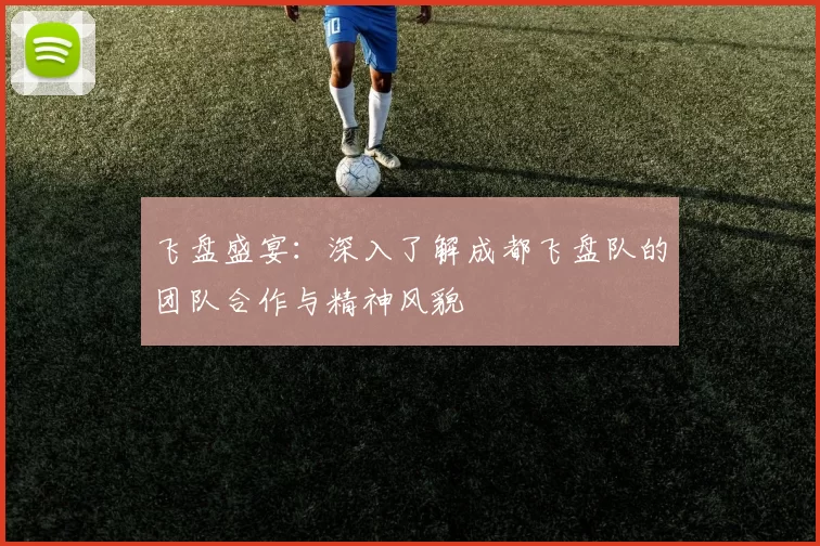 飞盘盛宴：深入了解成都飞盘队的团队合作与精神风貌
