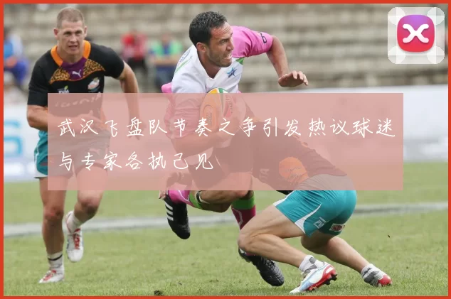 武汉飞盘队节奏之争引发热议球迷与专家各执己见
