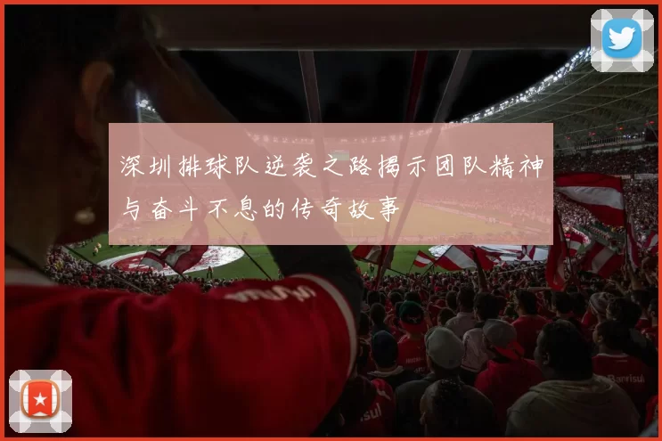 深圳排球队逆袭之路揭示团队精神与奋斗不息的传奇故事