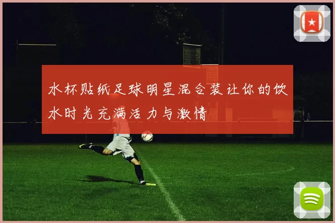 水杯贴纸足球明星混合装让你的饮水时光充满活力与激情