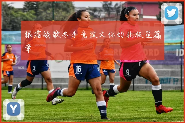 银霜战歌冬季竞技文化的北极星篇章