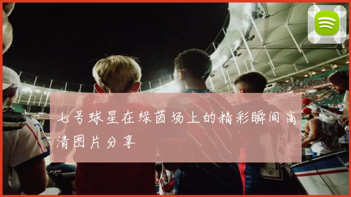 七号球星在绿茵场上的精彩瞬间高清图片分享