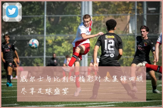 威尔士与比利时精彩对决集锦回顾尽享足球盛宴