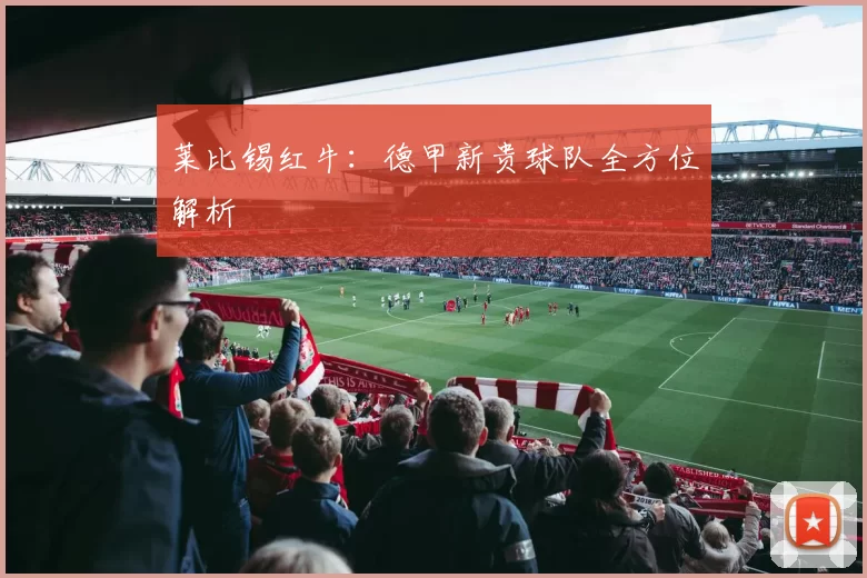 莱比锡红牛：德甲新贵球队全方位解析