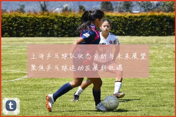 上海乒乓球队状态分析与未来展望聚焦乒乓球运动发展新机遇