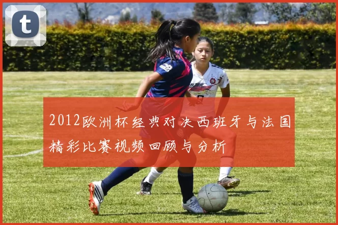 2012欧洲杯经典对决西班牙与法国精彩比赛视频回顾与分析