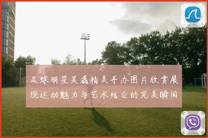 足球明星吴磊精美手办图片欣赏展现运动魅力与艺术结合的完美瞬间