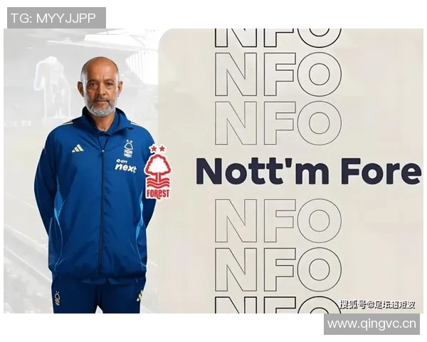 英超球队的引援策略